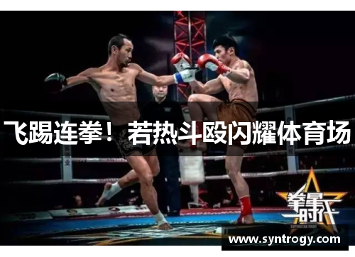 飞踢连拳！若热斗殴闪耀体育场